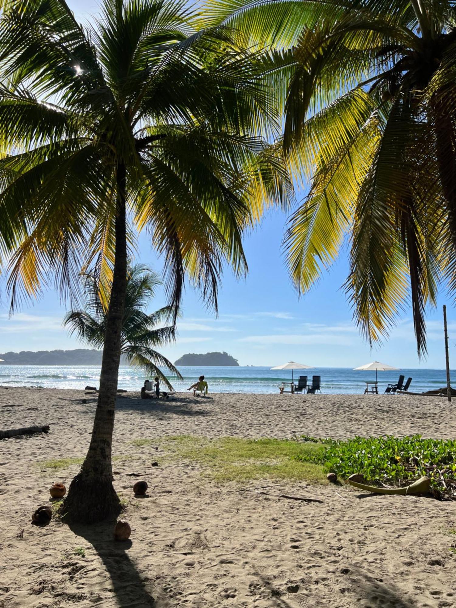 ホテル La Flor De Coco Sámara エクステリア 写真